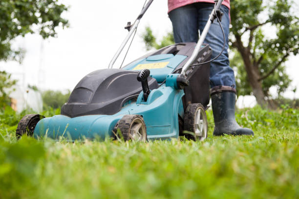 istock Closeup of grassmower 818651758