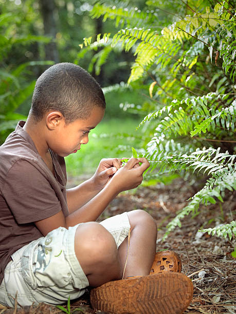 young boy mixed race enjoys the wonder of the garden - 13589 - fotografias e filmes do acervo