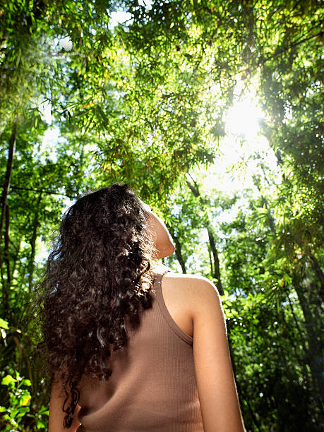 young girl  looks up in hope at tree canopy - 13607 - fotografias e filmes do acervo