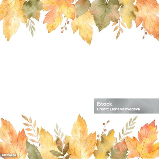 Watercolor Banner Of Leaves And Branches Isolated On White Background Stock Illustration - Download Image Now