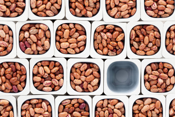 Missing pinto beans