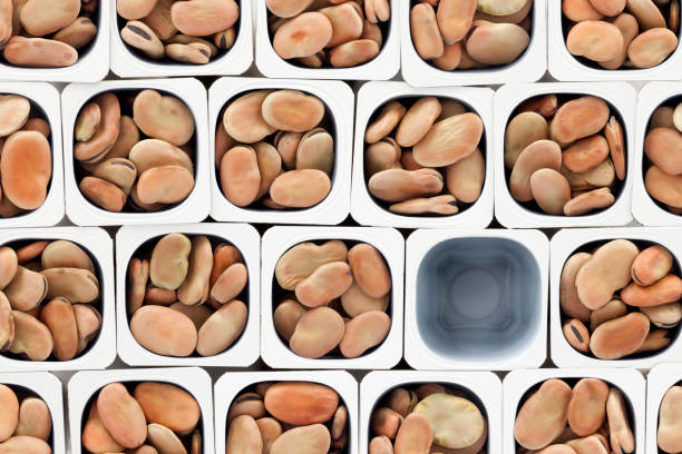 Missing fava beans