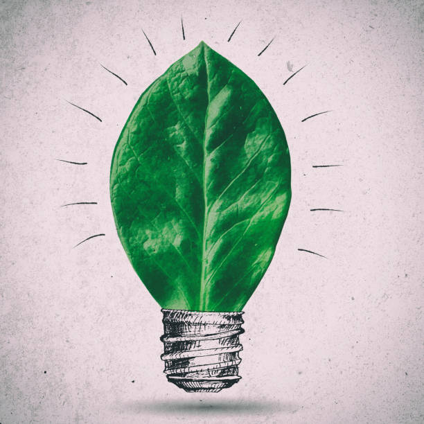 istock Green bulb  illustration. Leaf with sketched lamp 818733546