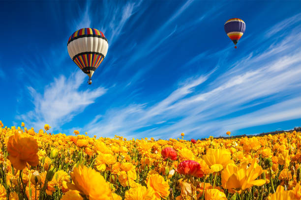 istock Two balloons flying slowly in clouds 818738078