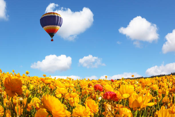 istock Huge balloon flies over the field 818738102