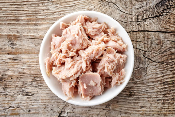 istock Bowl of canned tuna from above 818761568