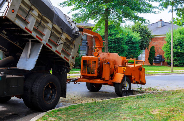 istock Agricultural machinery, wood shredder 818780838