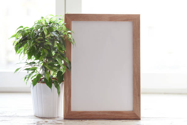 istock picture frame and flower 818812756