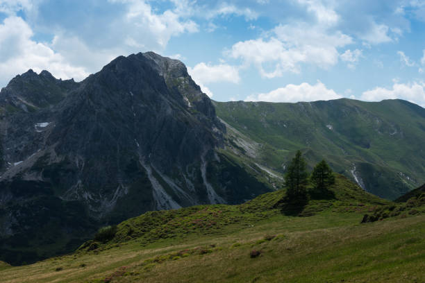 Bavarian alps and alpine meadow. Germany, June 2017