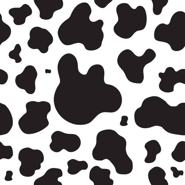 ilustraciones, imágenes clip art, dibujos animados e iconos de stock de patrones sin fisuras de piel de vaca de manchas. ilustración de vector. - vacas
