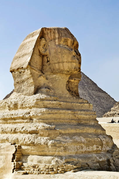 istock statue of the Sphinx 818833818
