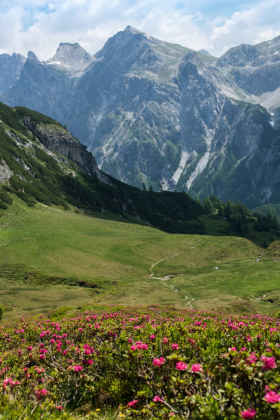istock Tappenkarsee in Kleinarl - Tappenkaralm 818836498
