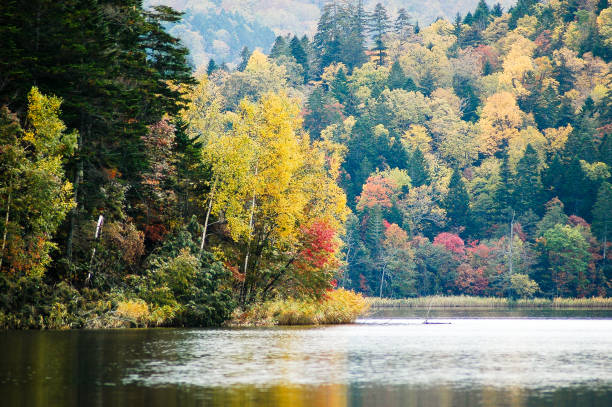 istock Chimikeppu Lake in Autumn, Eastern Hokkaido, Japan 818843876