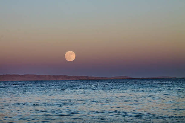 istock Full moon over the sea 818847414