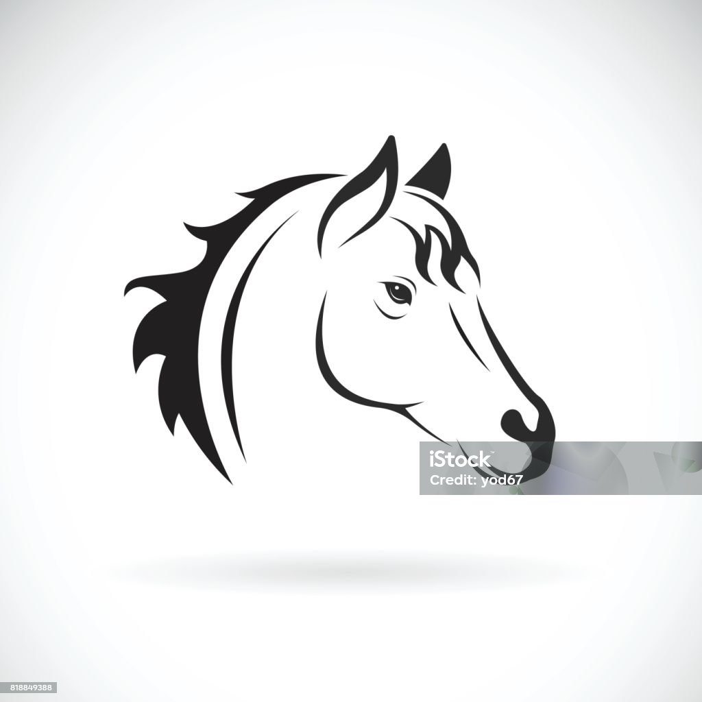 Vector of a horse head on white background. Wild Animal Horse stock vector