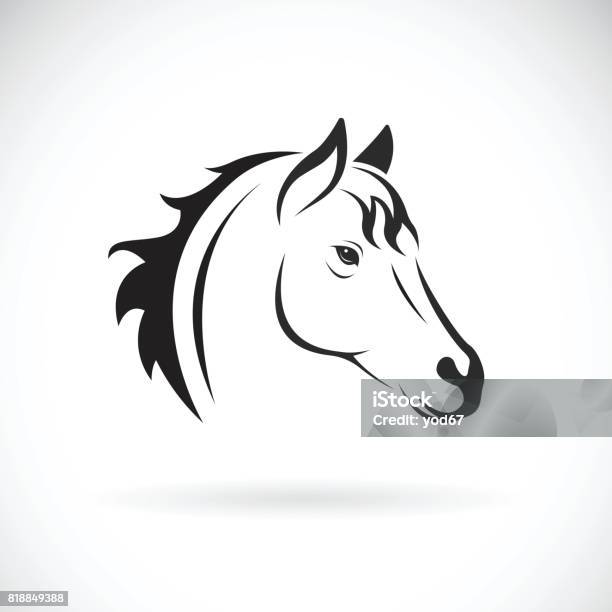 Vector Of A Horse Head On White Background Wild Animal Stock Illustration - Download Image Now