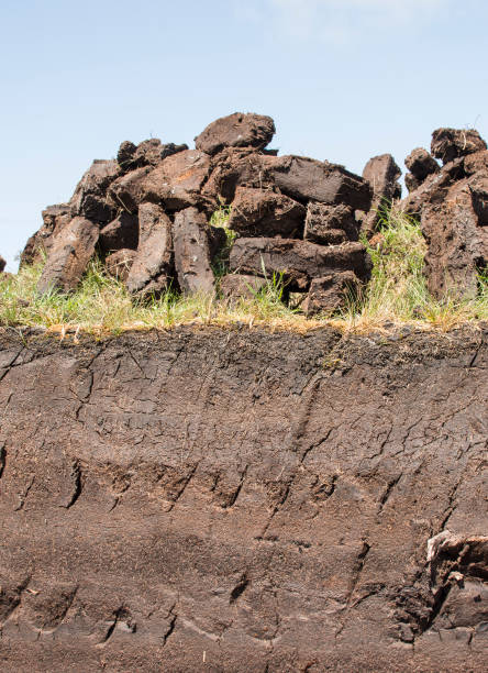 istock Peat cutting in the Connemara, County Galway Ireland 818867780