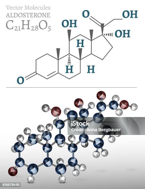 Aldosterone Molecule02 Stock Illustration - Download Image Now - Endocrine System, Atom, Biochemistry