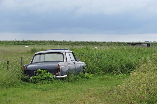 istock Old car dying in the grass 818897116