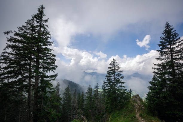istock A piece of the Alps 818910496