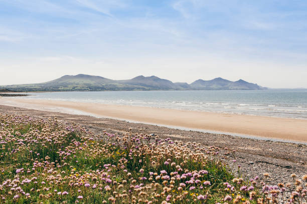 plage de dinas dinlle en galles du nord avec vue du parc national de snowdonia - north wales photos et images de collection