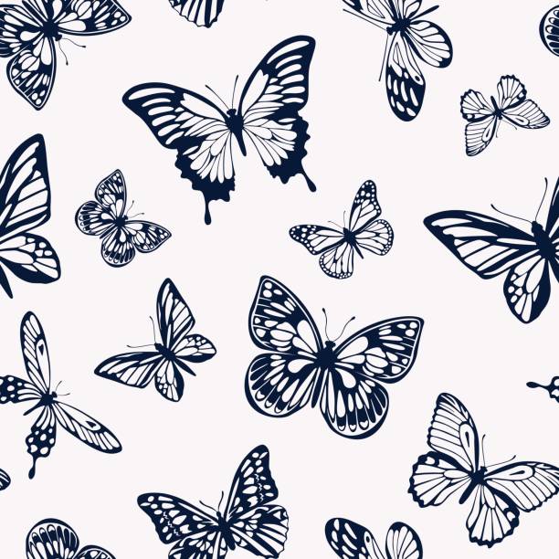 Seamless two-tone pattern with silhouettes of butterflies. Vector illustration. Vector pattern with dark silhouettes of butterflies on a light background in a flat style. butterfly wing patterns stock illustrations
