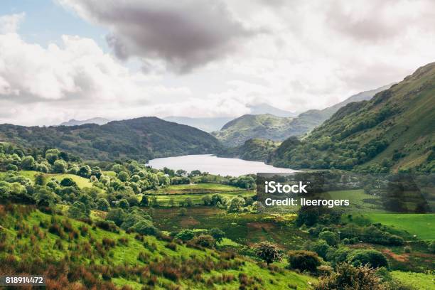 Llyn Gwynant Lake Snowdonia In Gwynedd North Wales Stock Photo - Download Image Now