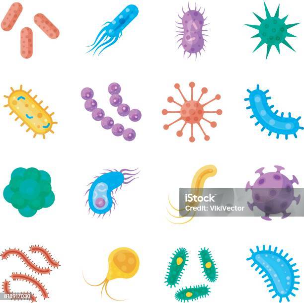 Bacteria And Germs Colorful Set Stock Illustration - Download Image Now -  Animal, Art, Bacterium - iStock