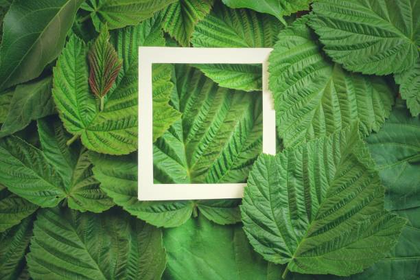 istock Creative layout made of flowers and leaves with paper card note. Flat lay 818940448