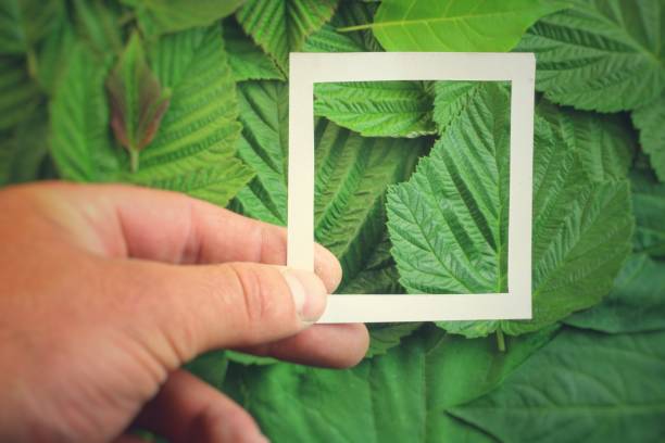 Creative layout made of flowers and leaves with paper card note. Flat lay