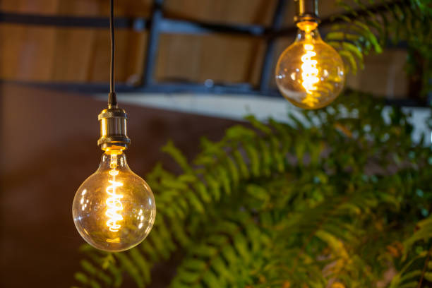 istock Incandescent lamps with tree in background. Edison lamp. 818954614