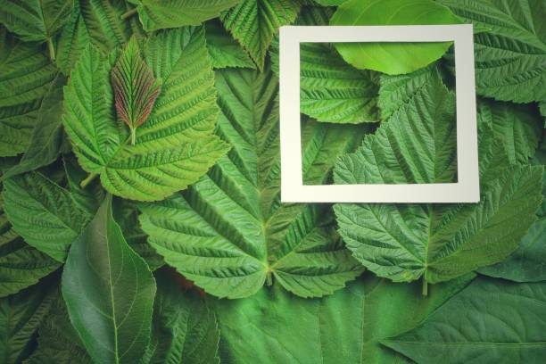 istock Creative layout made of flowers and leaves with paper card note. Flat lay 818964778