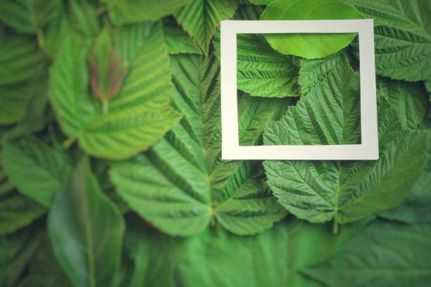 istock Creative layout made of flowers and leaves with paper card note. Flat lay 818965364