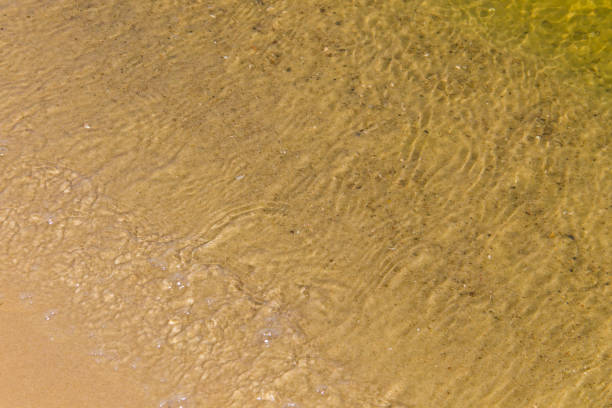 istock Soft wave of the sea on sandy beach 818971758