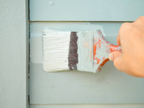 hand holding brush painting timber wall - female house painter home decorator paintbrush imagens e fotografias de stock