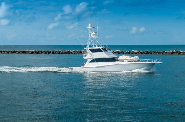 istock Happy fishing 818996436