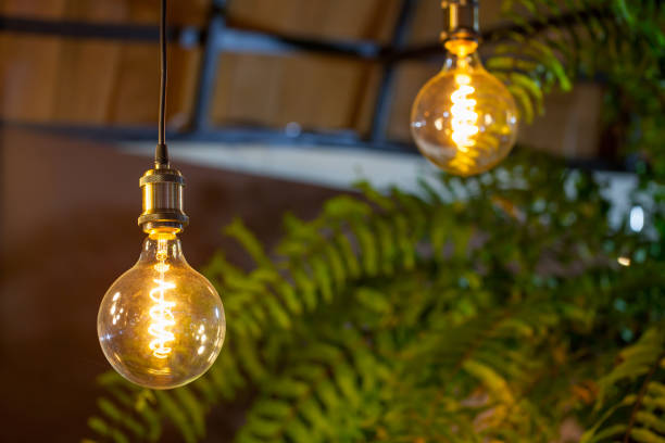 istock Incandescent lamps with tree in background. Edison lamp. 819023796