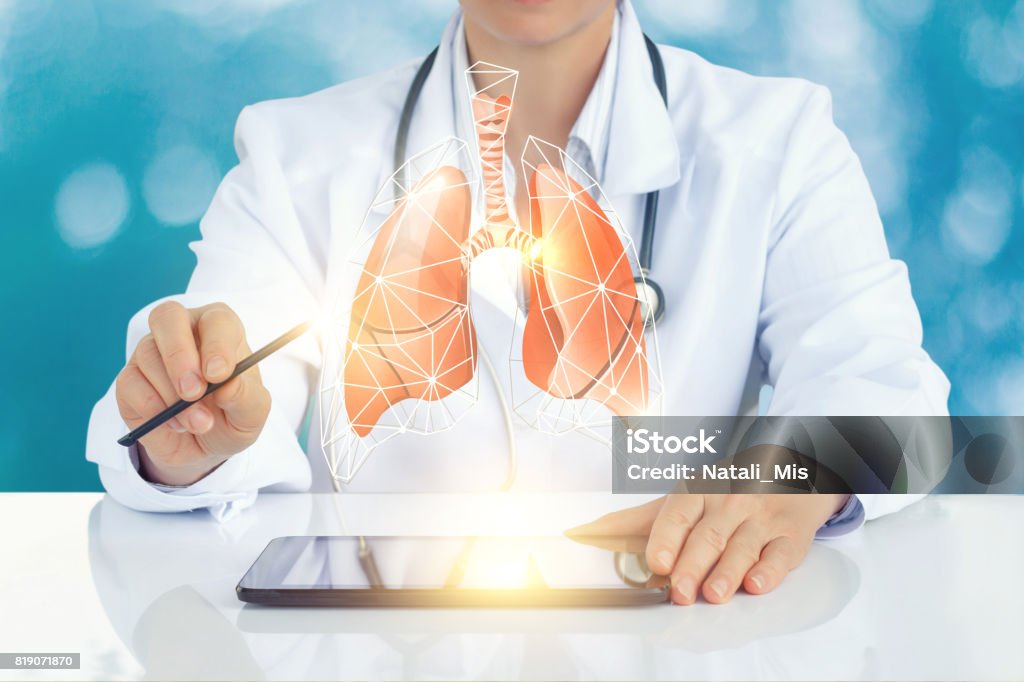 The doctor on the virtual screen shows a model of a human lung. The doctor on the virtual screen shows a model of a human lung. Concept design. Healthcare And Medicine Stock Photo