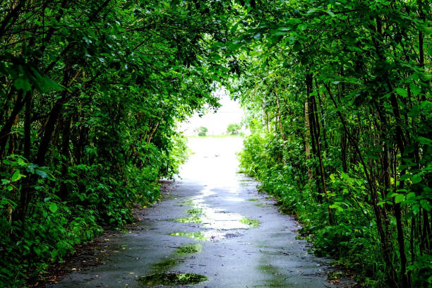 Light at the end of the tunnel. Rainy day