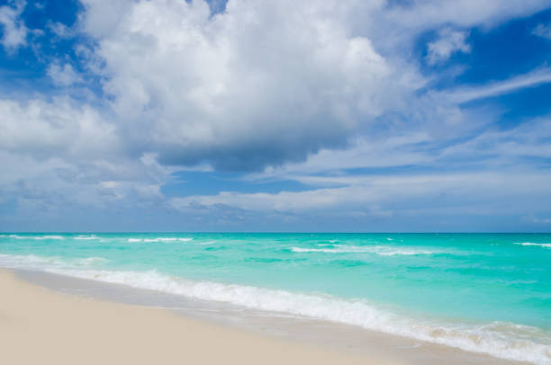 istock Miami tropical beach and ocean 819111844