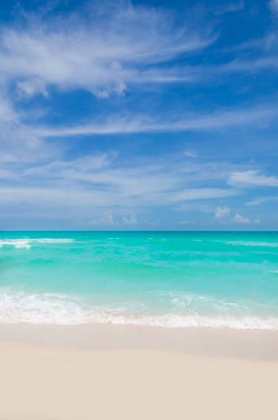 istock Miami tropical beach and ocean 819112080