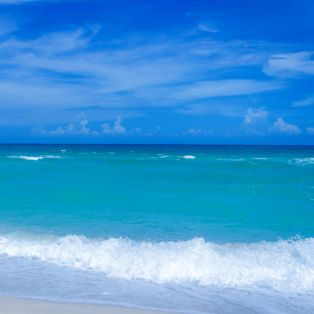 istock Miami tropical beach and ocean 819112568