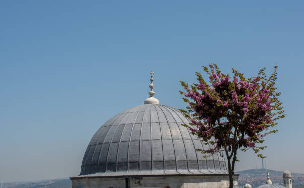 istock Outer view of dome in Ottoman architecture 819126026