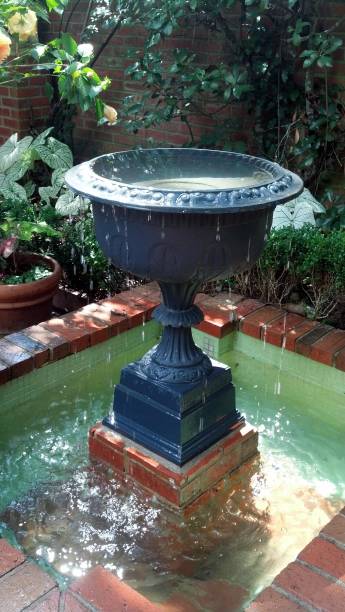 istock Fountain in the garden 819191556