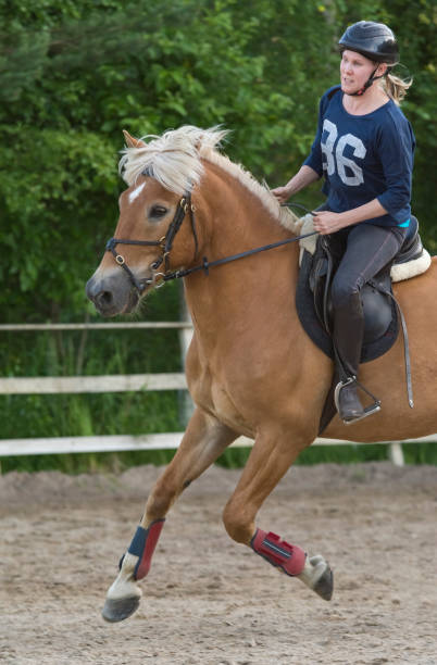 istock Woman horseback riding and showjumping 819200938