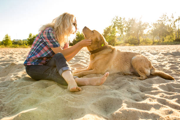Young woman with her dog at the beach. A young woman sits on the sand with her dog. Labrador