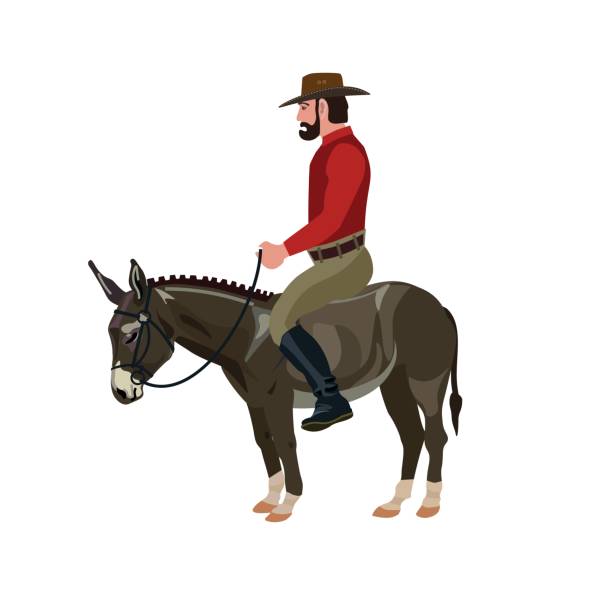 Ezel Rijden Ezel Asinus Illustraties en vectorbeelden - iStock