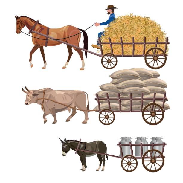 ilustraciones, imágenes clip art, dibujos animados e iconos de stock de conjunto de vehículos de vector con animales de tiro - draft horse