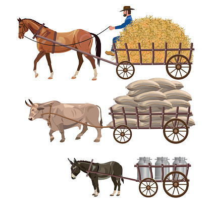 Set of vector vehicles with draft animals: horse, ox and donkey