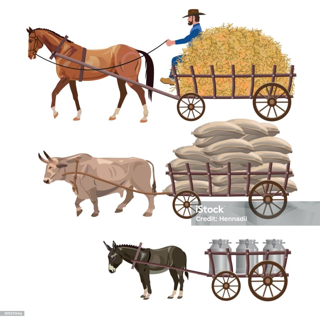 Set Of Vector Vehicles With Draft Animals Stock Illustration - Download  Image Now - Cart, Pulling, Bull - Animal - iStock